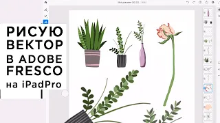 Как я рисую в векторе в Adobe FRESCO на iPad Pro, видео специально для Алены