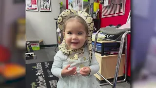 Owner of MP Repairs asking for thief to return daughter's snake back to his shop