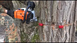 Stihl MS 260 - řezání dřeva / kácení stromů -  Chainsaw Stihl MS 260 Cutting Tree / Felling trees