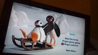 Pingu bouncy fun dvd reviews