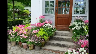 The last tulips in the garden