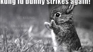 Kung Fu Bunny Song