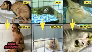 Kutukan Seram Anak Durhaka Paling Fenomenal dan Legendaris di Tahun 2000 an