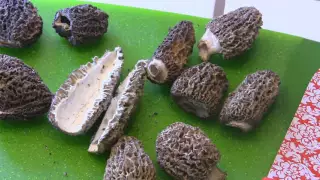 How to Clean Morel Mushrooms