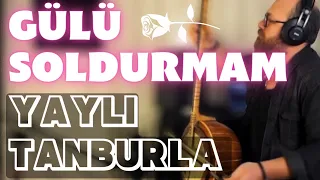 Gülü Soldurmam | Yaylı Tanbur Tambur