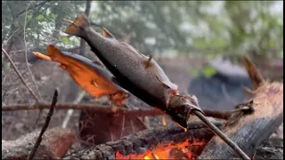 Canoe Camping / Trout Catch n Cook / RAIN & BUGS