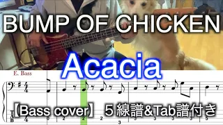 BUMP OF CHICKEN/Acacia(Bass cover)５線譜&Tab譜付き