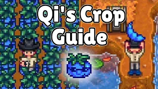 500 QI BEANS IN ONE WEEK - Qi's Crop Guide - Stardew Valley 1.5
