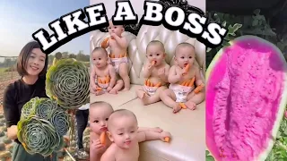 LIKE A BOSS COMPILATION #44 😎🥶🤯 PEOPLE ARE AWESOME (RESPECT VIDEOS) SATISFACTION TRENDING