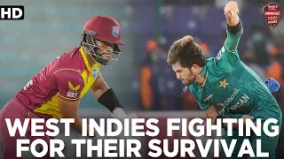 West Indies Fighting For Their Survival | Pakistan vs West Indies | PCB | MK1L