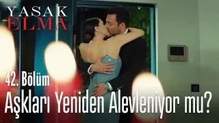 Ender ve Kaya arasında ne yaşandı? - Yasak Elma 42. Bölüm