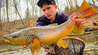 Fishing for the BIGGEST Wild Brown Trout in Pennsylvania!