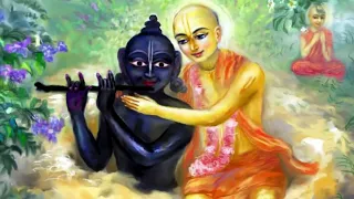 The Next Level - 🔥MAHAMANTRA🔥by Vishwambhar Das |Krishna Devotion✨💖 ||