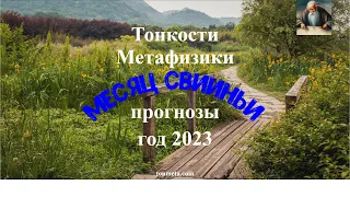 Прогноз по Ба Цзы на месяц Свиньи 2023