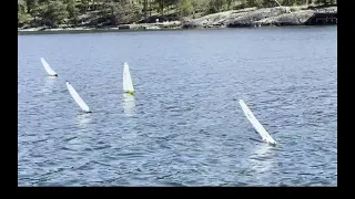 DF65 Globals practice race with SWE 8 Timerdal battling against Stray 90 Norway