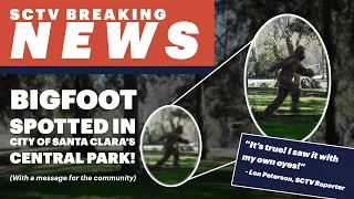 Breaking News: Bigfoot finally captured on camera by SCTV in the City of Santa Clara's Central Park