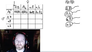 How to do a Dihybrid and a Trihybrid Cross