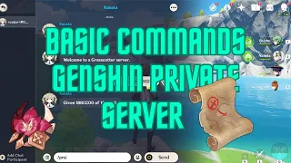 Basic commands in genshin private server | grasscutter