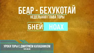 Недельные Главы ТОРЫ "Беhар" и"Бехукотай", книга "Ваикра" 5780. Уроки Торы для ноахидов.