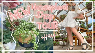 NEW Houseplant Shop Tour + Haul! Go Houseplant Shopping with Me!