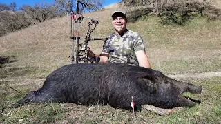 Archery Pig Hunt with Oak Stone Outfitters