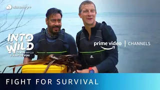 Ajay Devgan Catches A Fish | Into The Wild With Bear Grylls | Amazon Prime Video Channels