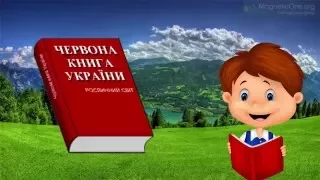 Урок 44  Природознавство 1 клас. Як захищати рослини рідного краю?