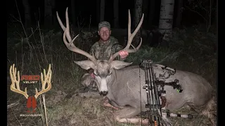 COLORADO SPOT AND STALK ARCHERY MULE DEER HUNT