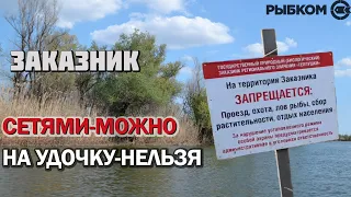 Дельта Волги. Сетями можно, на удочку нельзя!