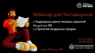 1. Подводные камни типовых гарантий по 44 и 223 ФЗ.  2. Стратегия тендерных продаж