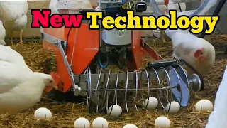 Amazing Modern Sheep Farming Technology Automatic Milking System, How To Processing Wool Machines