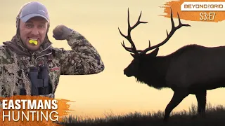 Beating The Odds! Public Land Bow Hunting for Elk