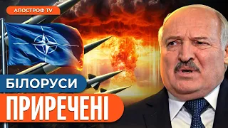 БІЛОРУСЬ ПІД ПРИЦІЛОМ: країни НАТО натякнули на удар по країні