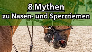 8 Mythen rund um das Sperrhalfter (Sperrriemen & Nasenriemen)