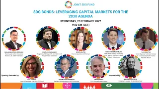 SDG Bonds Webinar: Leveraging Capital Markets for the 2030 Agenda