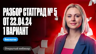 Разбор СтатГрад № 5 от 22.04.24 1 вариант | ЕГЭ по биологии | Ксения Напольская 100балльный