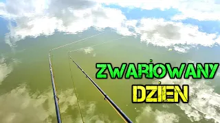 Zwariowany Dzień z Method Feeder !! Lin na Pzw !! Wędkarstwo !!