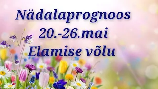 Nädalaprognoos 20.-26.mai 2024 @elamisevolu