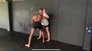 Wall wresting for MMA(basics) and how to get off the cage!