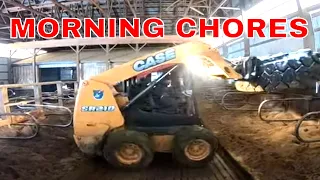 New Skidsteer in Barnyard | Scraping and Feeding Cows at the Same Time!