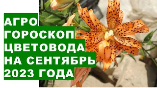 Агрогороскоп цветовода на сентябрь 2023 года. Agrohoroscope of the florist for September 2023