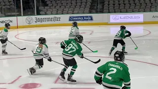 American airlines center hockey game