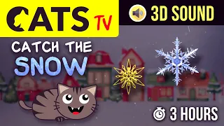 CATS TV - Catch the SNOW ❄️ 3 HOURS (Game for CATS to watch)