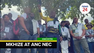 WATCH | Zweli Mkhize speaks on sidelines of ANC elective conference