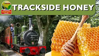 This Steam Railway helps make Honey!