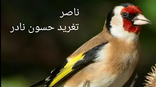 تغريد رائع ... أدعولنا بالخير