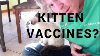 Are Kitten Vaccines Necessary?