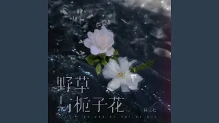 野草与栀子花