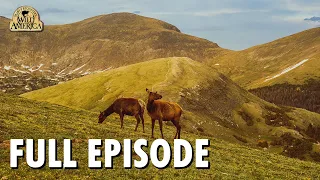 Wild America | S8 E5 'A Prairie Park' | Full Episode | FANGS