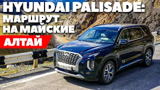 Hyundai Palisade на Алтае. ТЕСТ- куда поехать на майские праздники 2022?